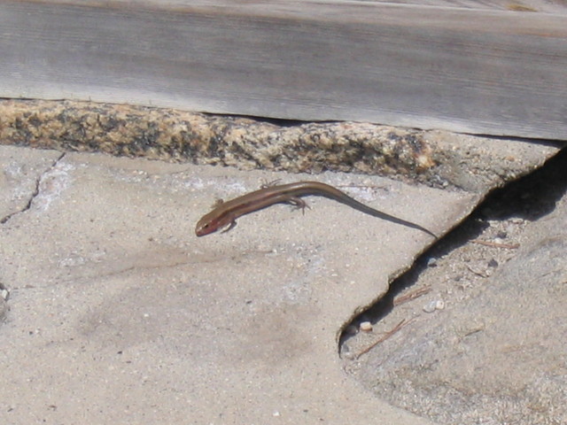 116_1664.JPG