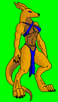 Kangaroo