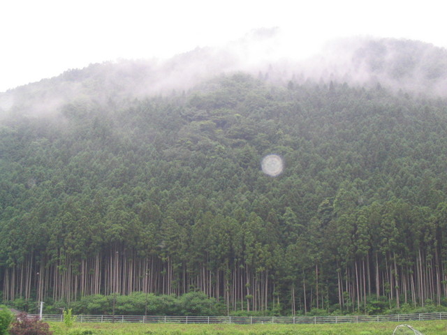118_1873.JPG