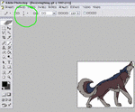 Resize1