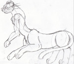 Tuar